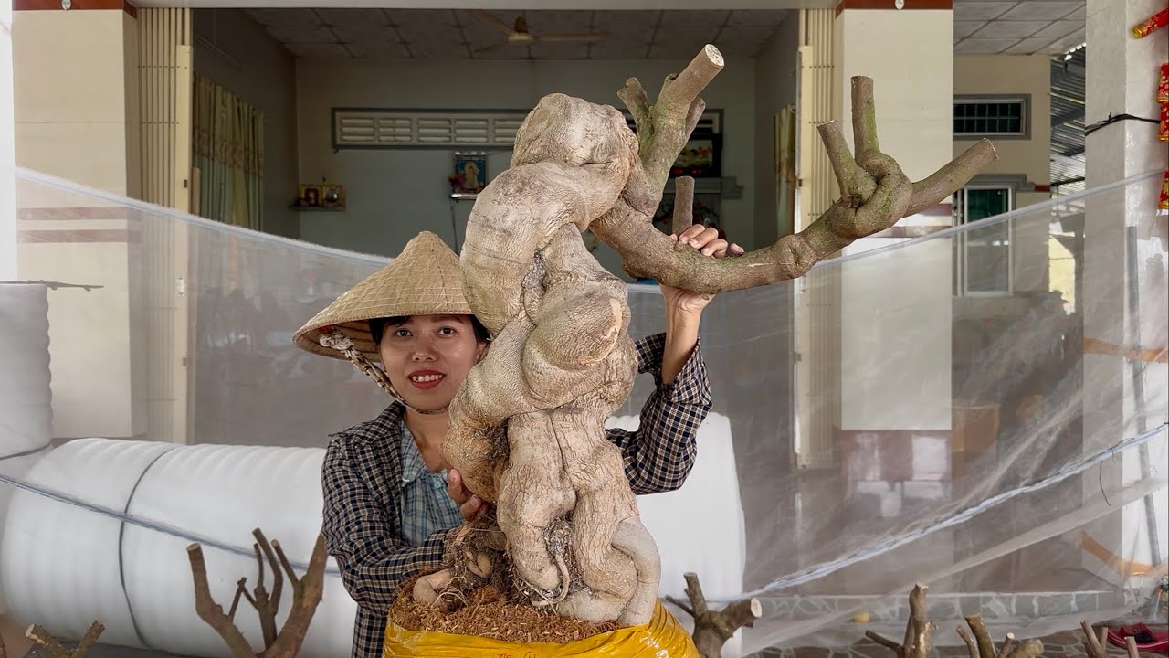 Phôi hoa giấy siêu phẩm đẹp và nhiều kiểu dáng lạ mắt giao lưu toàn quốc ☎0939.421.599 Hương Đoàn