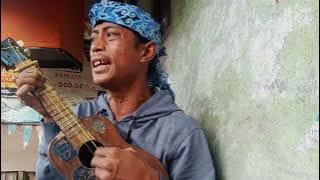 lagu wali (ya Allah) cover ukulele