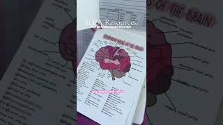 Slpa Resources Slp Essentials, Future Slp Tools