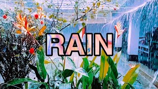 Play video: RAIN - PHILIP BOOTH (It's raining where I am...)