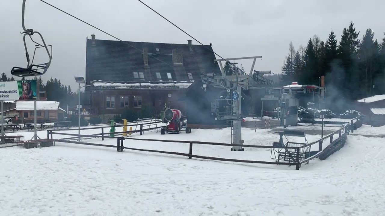 DZIKOWIEC - 2026 - 19