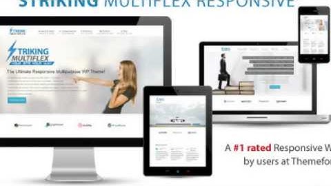 Striking MultiFlex  Ecommerce Responsive WP Theme