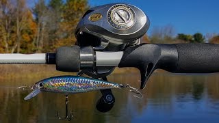 FALL BASS FISHING (JERKBAIT!!!) Lucky Craft Pointer 78