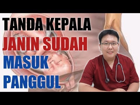 TANDA KEPALA JANIN SUDAH MASUK PANGGUL - TANYAKAN DOKTER