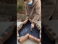 #Leak Proof Roofing #Waterproofing Service
