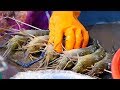 Taiwanese Street Food - LIVE GIANT PRAWNS Shrimp Seafood Balls Kaohsiung Taiwan