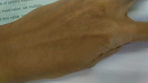 STD 4 Chapter 13 Unitary Method Part 2