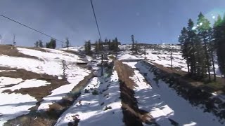 Global Warming Causes Taste of Spring in January, Meteorologist Says