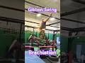 Brachiation. Art in motion. #gymmotivation #gibbons