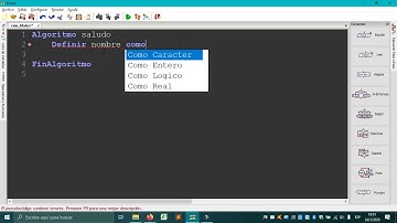 PSeINT Video 2 - saludo