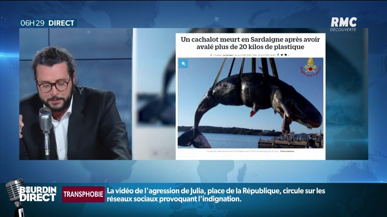 Sacs poubelle, filets, bidon de lessive: 20 kg de plastique retrouvé dans l'estomac d'un cachalot