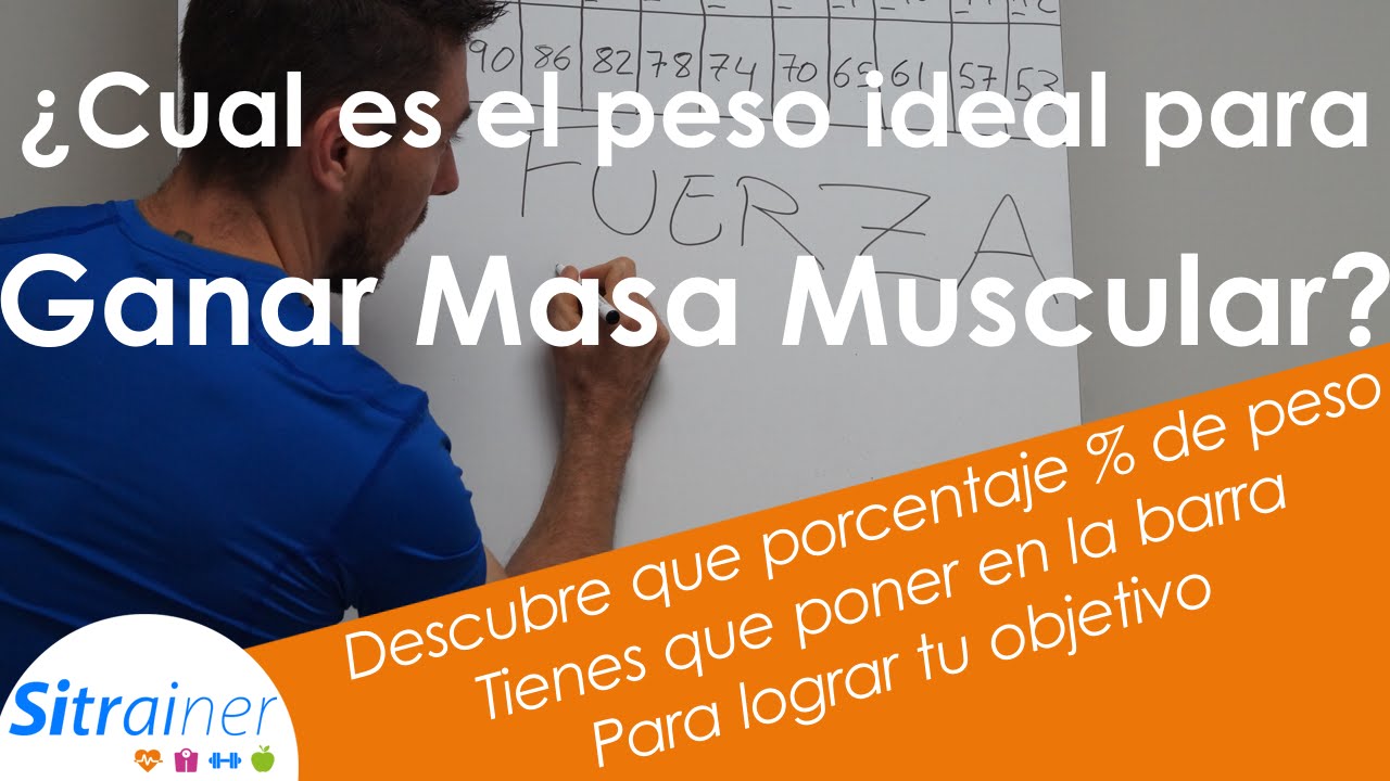 Cual es el porcentaje de masa muscular ideal