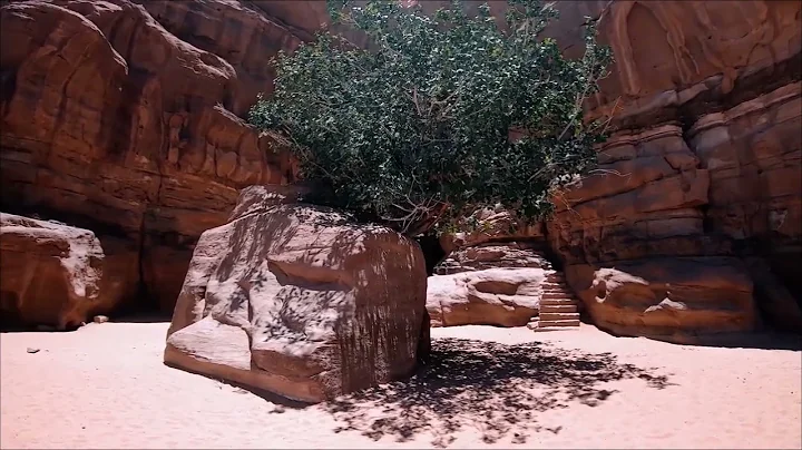 Reiki Drumming:  Desert Journey  - Sarah Gregg,  R...