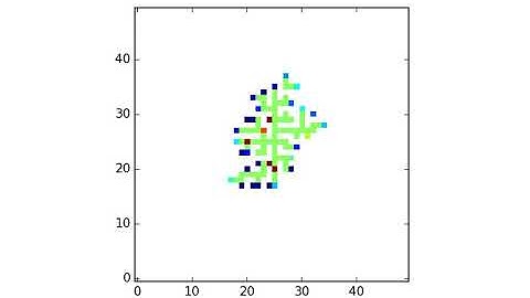 Section 5 Simulation 1 Cells