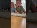 赤ちゃん怪獣の進撃| #shorts #animals #baby