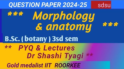 605 I Morphology and anatomy question paper bsc 3rd sem botany 2024-25