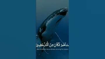#تلاوات #اكسبلور #دويتو #اكسبلور #المصحف #duet #لايك #قرآن #تيك_توك #راحة_نفسية #راحة_نفسية #مصر #س