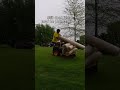 Turning This Mess Into Fresh Grass 🌱 Lawn Transformation Timelapse