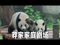 莽女士莽小五的家庭剧场因为美少女壮士良月的加入变得愈发精彩,每次小五挨揍的时候良月都一脸的着急,仿佛下一秒就穿过玻璃加入战斗!【你好大熊猫】