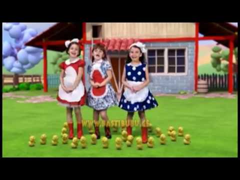 წიწილები