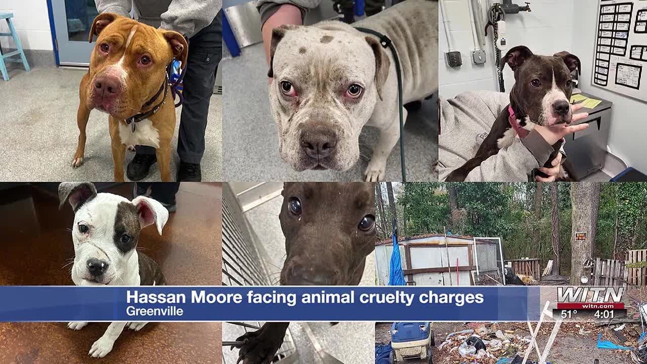 Man facing animal cruelty charges after five dogs rescued from home ...