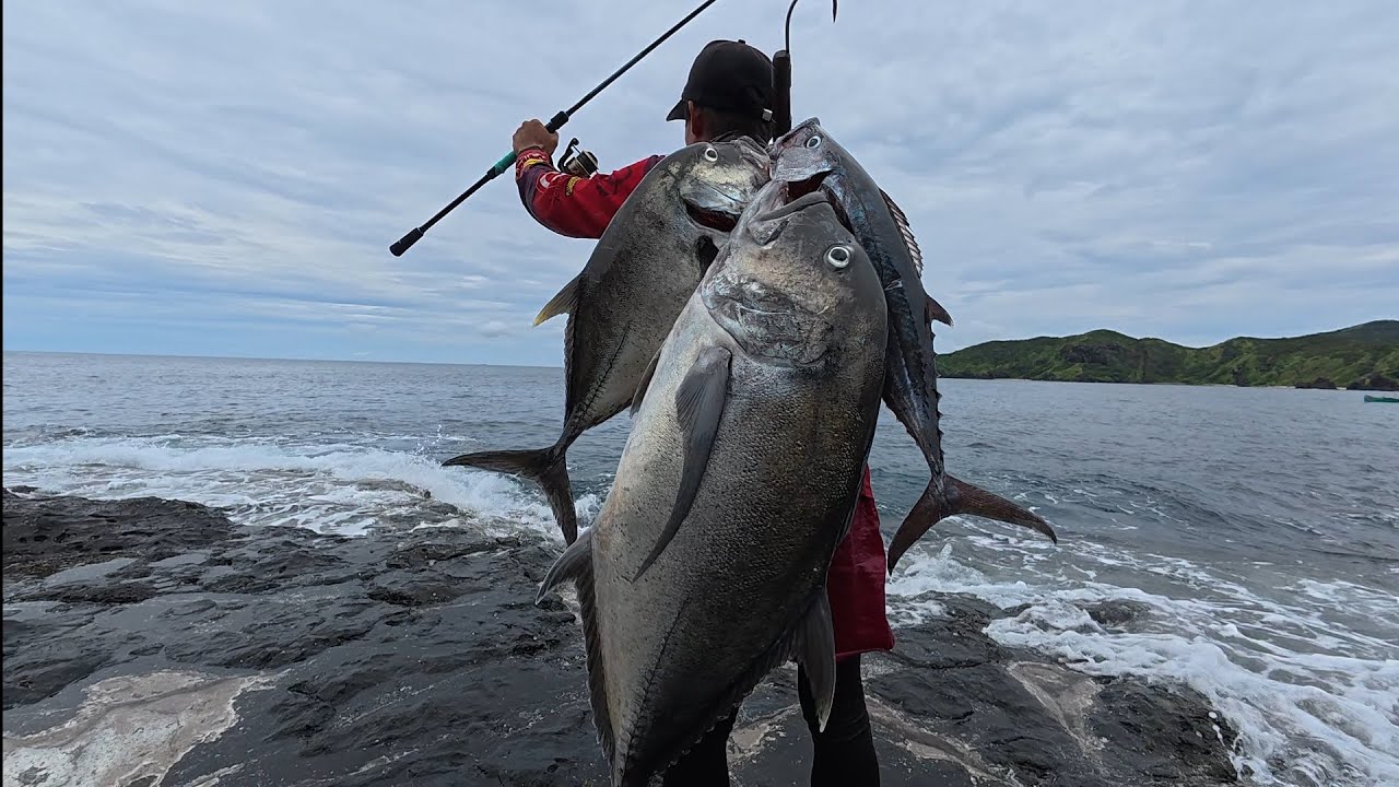 Record Giant trevally Vs. Medium rod... 🎣❤️
