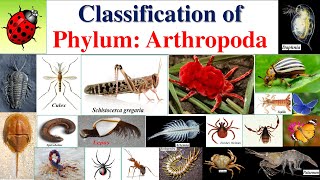 Arthropoda classification | Classification of Arthropoda| Classification of Phylum Arthropoda|Part 2