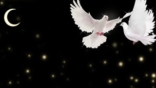 Birds Ringtone, flute instrumental Ringtone, Cute Ringtone, Ringtone 2022, call tone, Sms Ringtone screenshot 5