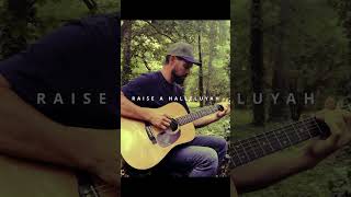 Raise A Hallelujah | Fingerstyle guitar cover #fingerstyle #співаю_аліллуя #bethelmusic