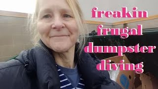 Frugal Mommy Hits the ALDI Dumpster While the Frugal Daddy is Sick in Bed ~ Ice Cream!