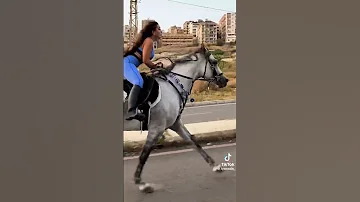 Horse الخيل الخيل العربية الأصيلة اكسبلور Chicken Automobile البخل Cow النظافه ذواقه 