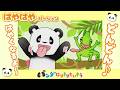 カメレオン になりきるパンダさん!したを べろーん【はやはやたいそう】【おかおたいそう6】🐼絵本のアニメ♪