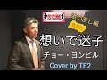 想いで迷子 チョー・ヨンピル Cover by TE2  歌い直し編