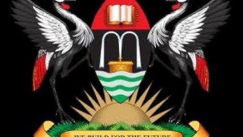 R for beginners # Vector manipulation