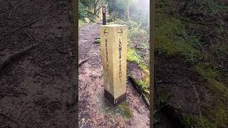 Luxulyan Valley, Cornwall. Escape the crowds and explore towering viaducts hidden in the wild woods.