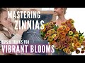 Mastering zinnias the easiest and most vibrant flowers