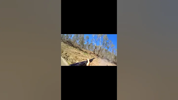 #chasse #caccia #идеальный охотничий кабан, лучший выстрел#cinghiale#oxtoa#wildboar