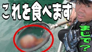 釣りしてたらまさかの生き物が捕れたので食べる！