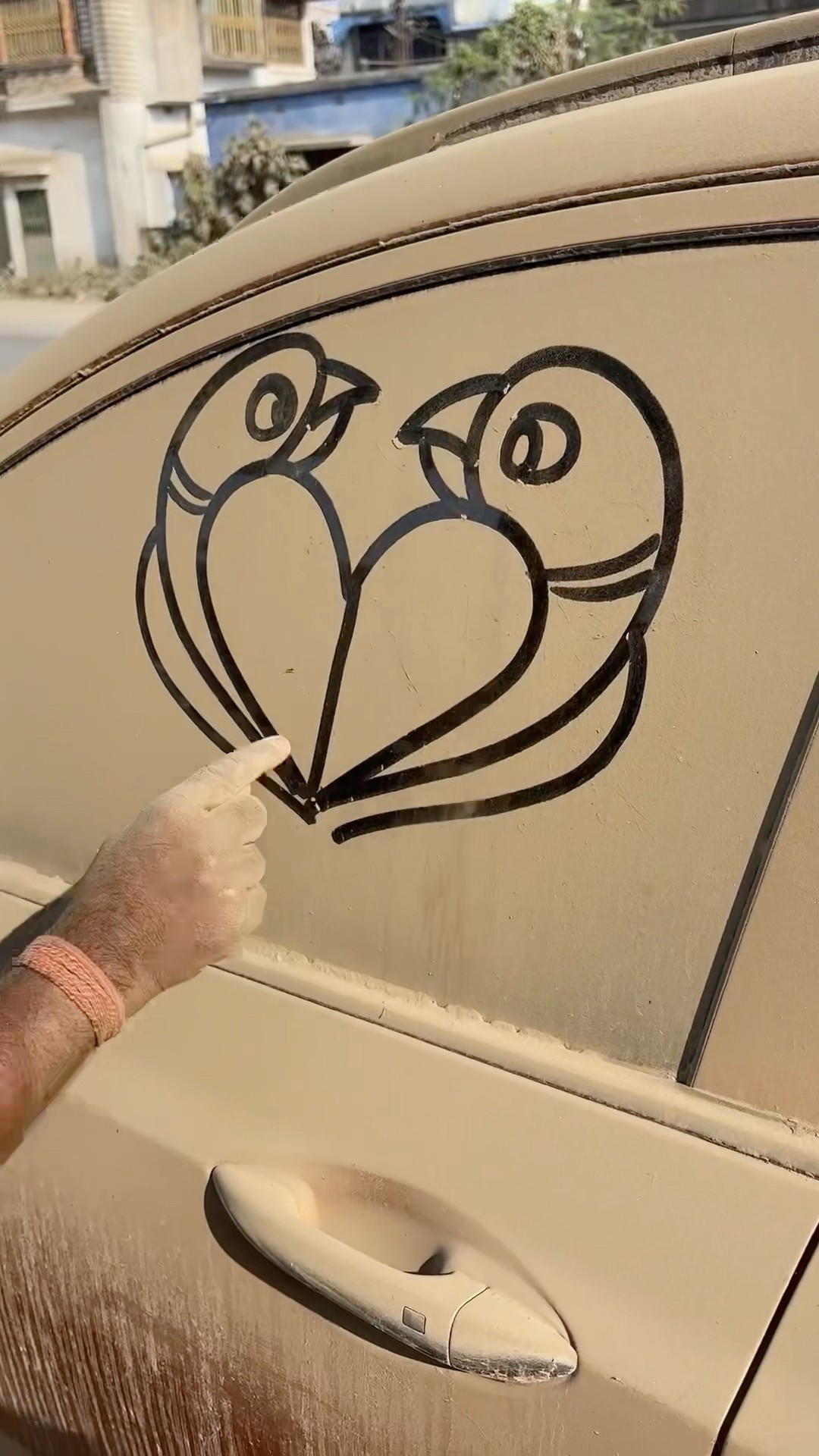 Loving birds ❤️ #shorts #art