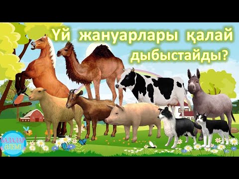 Мастурбация үшін күнбағыс майын қолдануға болады ма?