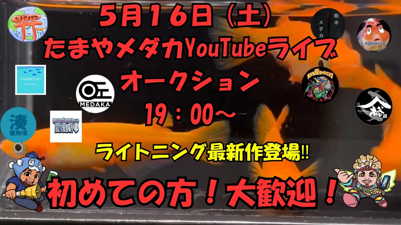 5月16日(土) ライブオークション