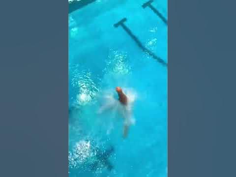 Diving - YouTube
