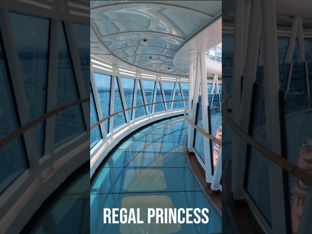 Cruise 3 First Impression #cruiselife #cruiseaddict #cruisevlog #11cruises