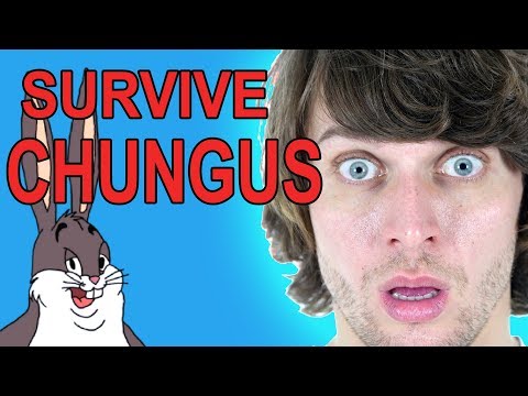 surviving-the-big-chungus-meme!?!?!!?!?-gmod