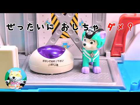 PAW Patrol (#2084) Everest: Absolutely Don't Press It? Don't Push