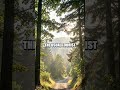 Hidden Gems USA: A 5-Minute Local Whispers