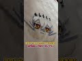 【推しぬい制作】裁縫ド素人でも愛さえあれば自分だけの推しを作れる【#shorts】