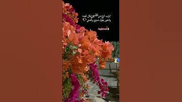 #quran #ارح_قلبك #اللهم_صل_وسلم_على_نبينا_محمد #اكسبلور #لايك #تلاوة_خاشعة