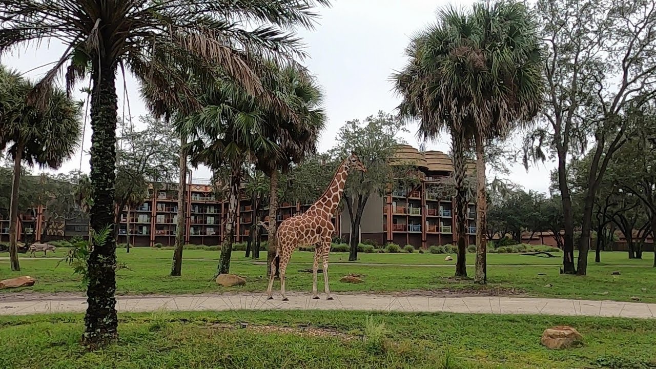 Disney's Animal Kingdom Lodge - Savanna View