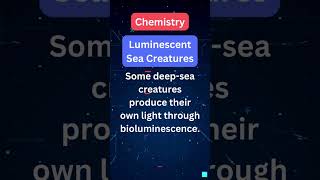 Science Snapshots Luminescent Sea Creatures
